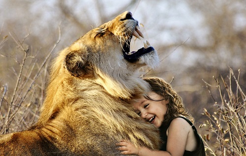 machtwort-marketing-blog-lion machtwort-marketing-blog-lion